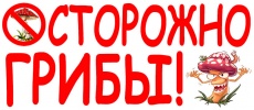 Об отравлении грибами и мерах профилактики