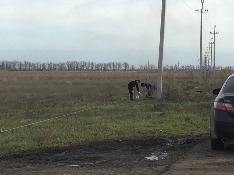 IMG_1608-12-12-17-11-04.JPG