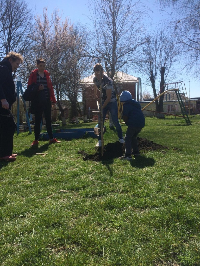 IMG-20190331-WA0005.jpg IMG-20190331-WA0005.jpg