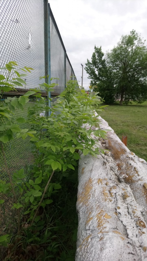 IMG-20180514-WA0014.jpg