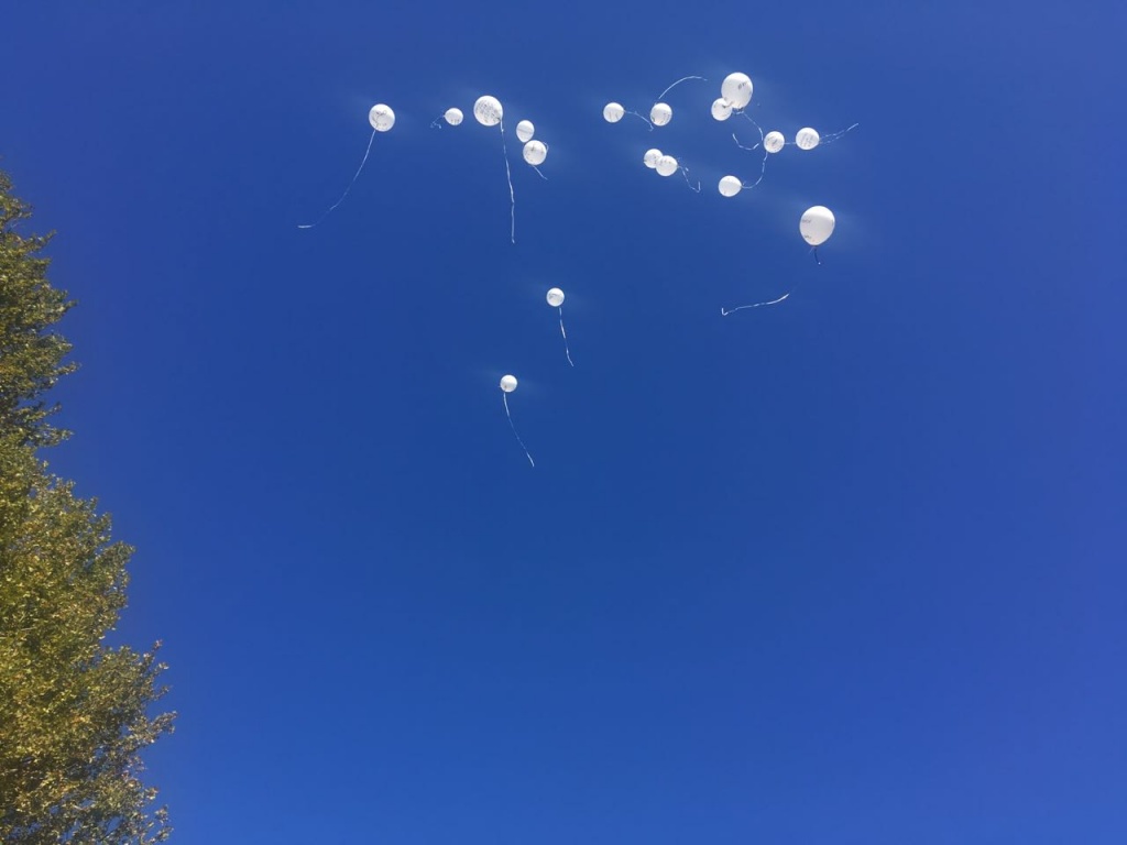 IMG-20181018-WA0020.jpg IMG-20181018-WA0020.jpg