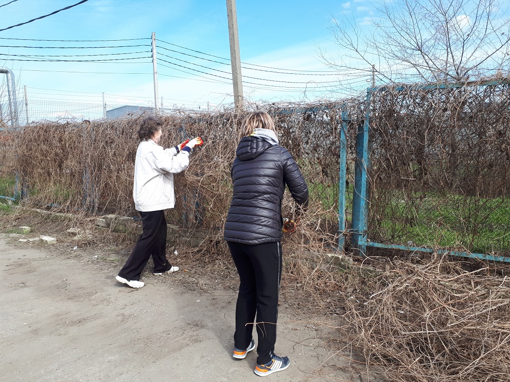 20190322_132135.jpg 20190322_132135.jpg