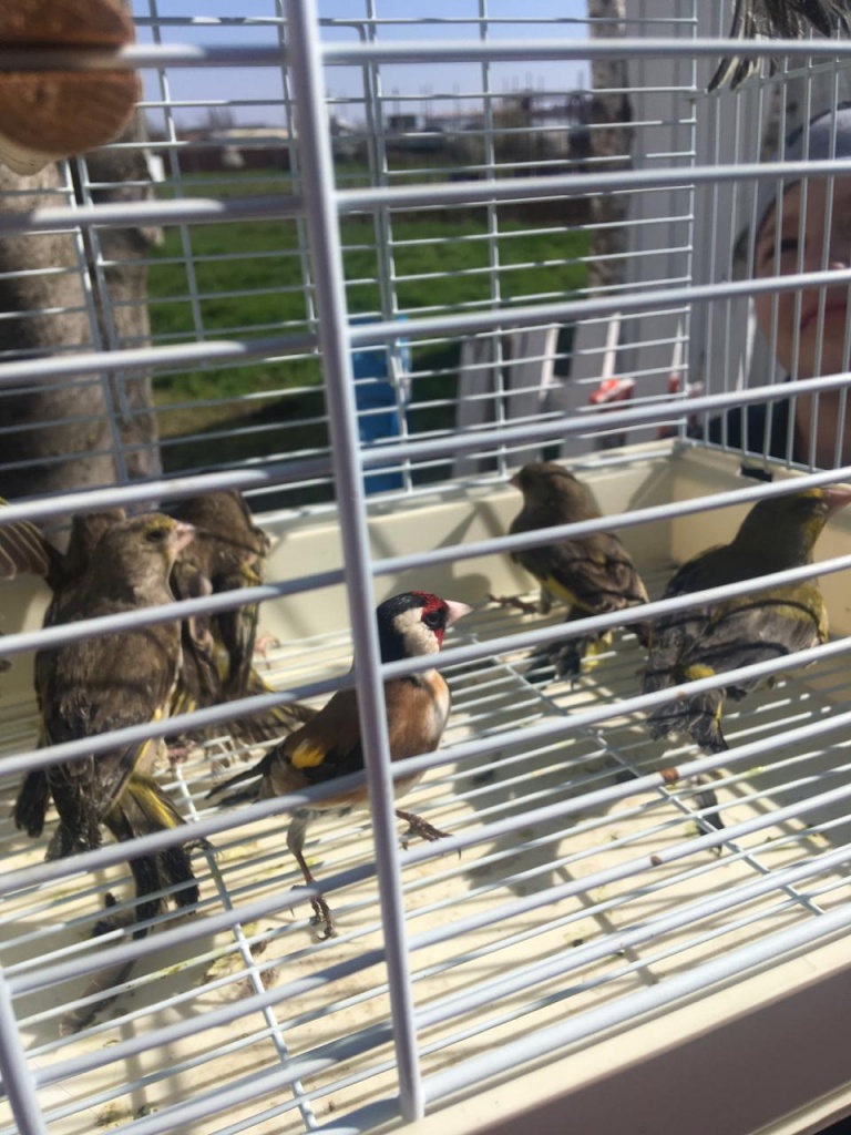 IMG-20190407-WA0007.jpg IMG-20190407-WA0007.jpg