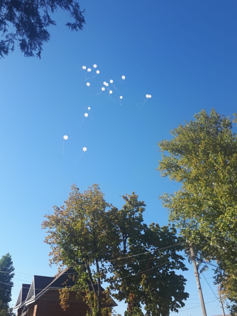 IMG-20181018-WA0013.jpg IMG-20181018-WA0013.jpg